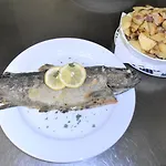 Schadde Penzion Vlotho