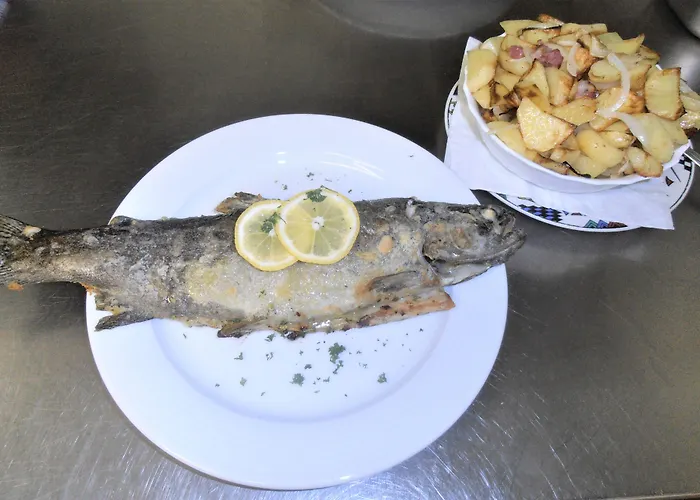 Schadde Pensión Vlotho